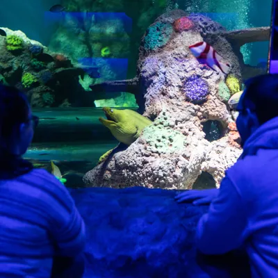 Sea Life Great Yarmouth 0006