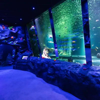 Sea Life Great Yarmouth 0027