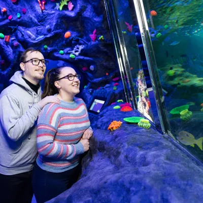 Sea Life Great Yarmouth 0035